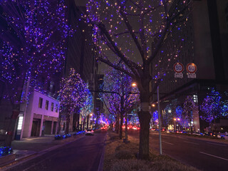 Fototapeta premium Colorful winter illumination on a city street in Osaka, Japan