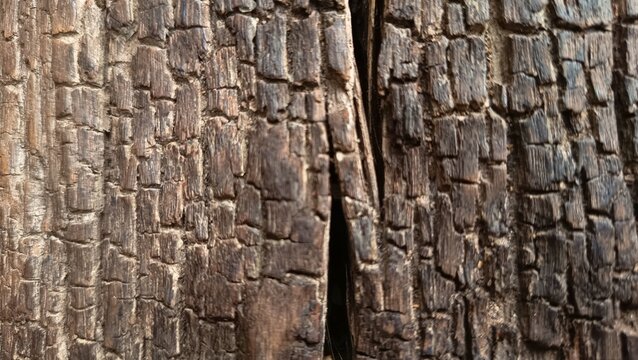 Rustic natural wood grain texture with knot and deep cracks