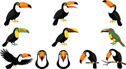 Fototapeta premium Tropical toucan bird vector character set with exotic jungle animals flying sitting on branch and colorful beak profiles