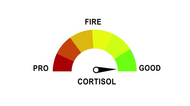 Cortisol level gauge meter animation: measuring stress and health indicators for medical and wellness data visualization