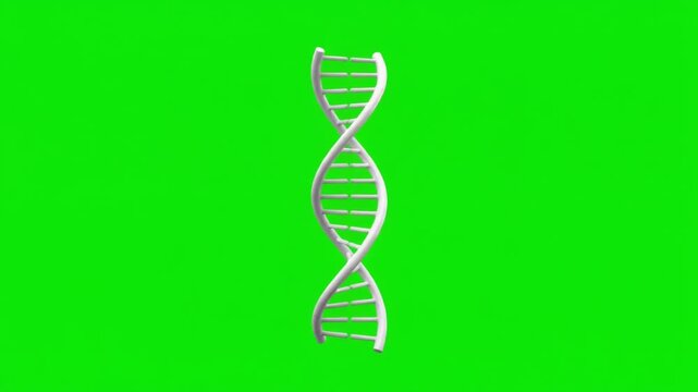 Rotating DNA double helix on a clean green screen for science education, biotechnology presentations, healthcare videos, chroma key compositing and commercial backgrounds.