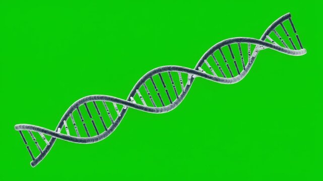 Scientific DNA double helix floating on green screen with clean copy space for biotechnology, genetics education, healthcare presentations and professional chroma key video editing.