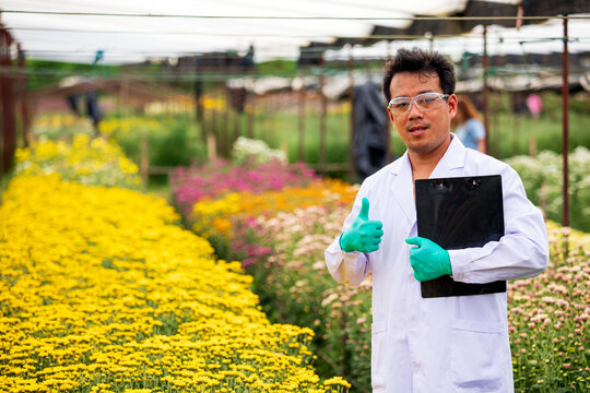 Researcher man giving thumbs up with clipboard in colorful flower nursery, confident positive expression representing science, horticulture, plant quality, success and professional approval