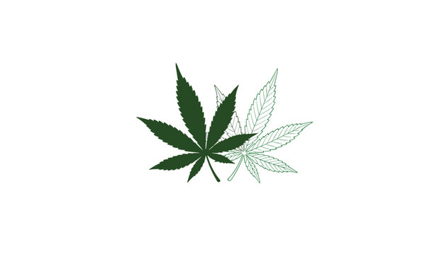 Dark green cannabis leaf beside a detailed outline drawing of a marijuana leaf on a clean white background in vector design.