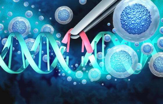 Personalized Cancer Vaccines as a customized vaccine designed to stimulate the immune system to target cancer cells with immunotherapy oncology and immunology.