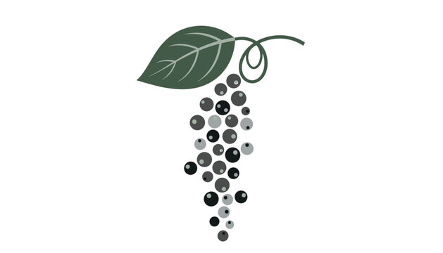 Stylized bunch of ripe organic blackcurrants with a single green leaf is shown in a clean flat vector illustration.