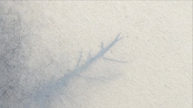 Cinematic minimal timelapse background featuring delicate blue branch shadow across textured paper with soft gray tones, quiet winter atmosphere, calm natural elegance, abstract design, and spacious