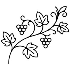 Obraz premium Simple black outline drawing of a grape vine with leaves and fruit clusters illustration monochrome