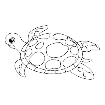 Cute turtle swimming forward with large eyes and patterned shell illustration.
