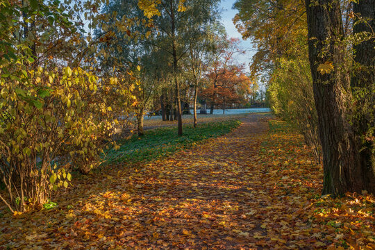 An Alley in the Catherine Park of Tsarskoye Selo on a sunny autumn day, Pushkin, St. Petersburg, Russia