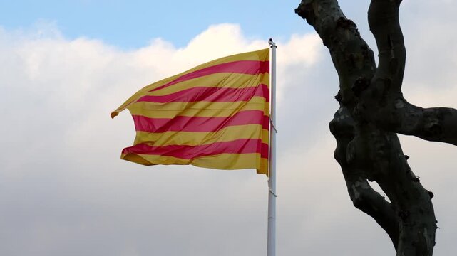 Catalan Senyera flag waves beside a bare tree beneath cloudy skies, triumphant and proud