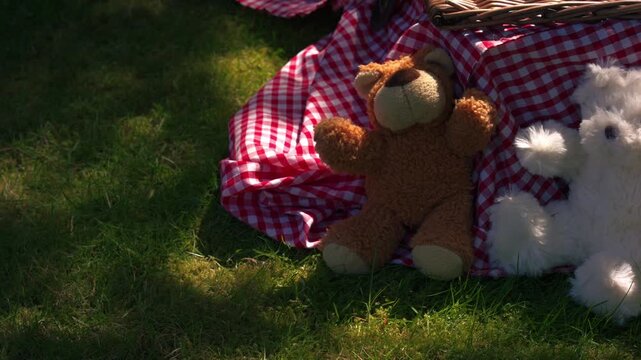 Teddy bear picnic with vintage woven basket in grass medium overhead panning 4k slow motion shot selective focus