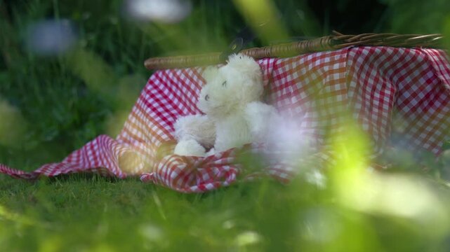 Teddy bear picnic with vintage woven basket in grass bokeh medium overhead panning zoom slow motion shot selective focus