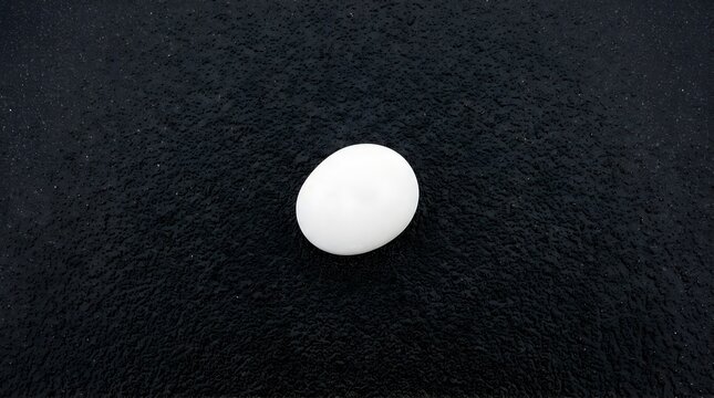 A single white egg on a wet black textured asphalt surface from above