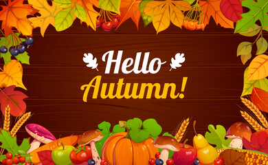 Naklejka premium Hello autumn round banner with seasonal harvest, wooden background and fall leaves frame. Thanksgiving autumn holiday rustic seasonal quote with ripe berries, wheat, acorns, pumpkin, mushrooms, fruit