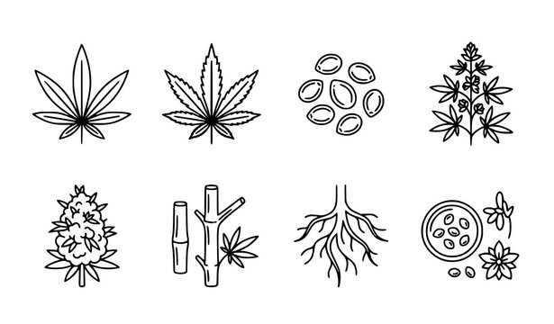 Hand Drawn Cannabis Plant Line Icon Set, Marijuana Leaf, Seed, Bud and Root Vector Outline Illustration
