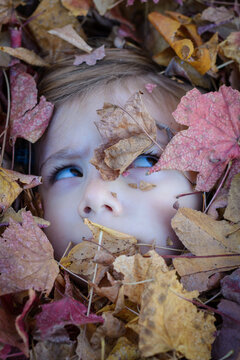 Child peeks through fallen autumn leaves