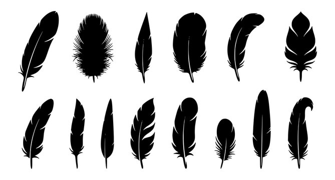 Elegant Bird Feather Silhouette Vector Set with 12 Black Nature Icons Isolated on White Background