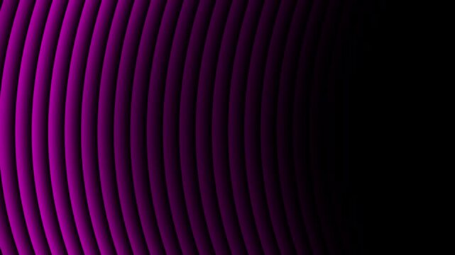 Abstract Purple Magenta Curved Ripple Lines Dark Motion Background