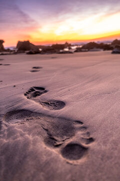 Footprints In Wet Sand At Sunset. Troncones, Guerrero. Mexico