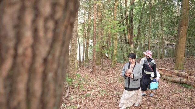 A tree trunk frames three women as they walk into view on a winding woodland trail.