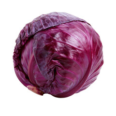 Obraz premium Cabbage vegetable isolated on white background ready for cooking and preparation in a kitchen environment
