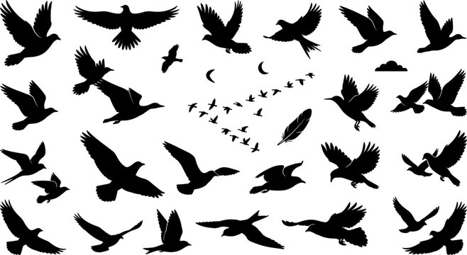 Flying Wild Birds Silhouette Asset Bundle Featuring Pigeons Eagles Swallows Flocks Migrating In Sky Feathers And Nature Elements Graphic Design Vectors