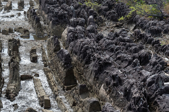 Rugged Geological Rock Formations and Coastal Texture of Suzushima Island in Shingu Wakayama Japan