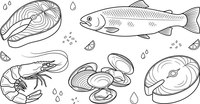 Fresh seafood vector line art collection featuring salmon steaks raw fish shrimp open clams lemon slices and droplets