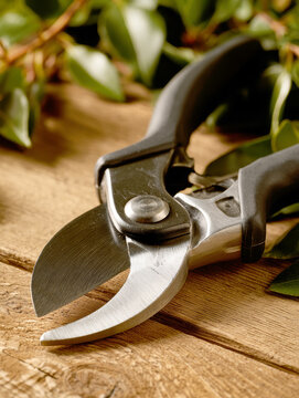Garden pruning shears on wooden surface for gardening