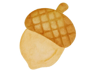 Watercolor acorn illustration © Mycreativee