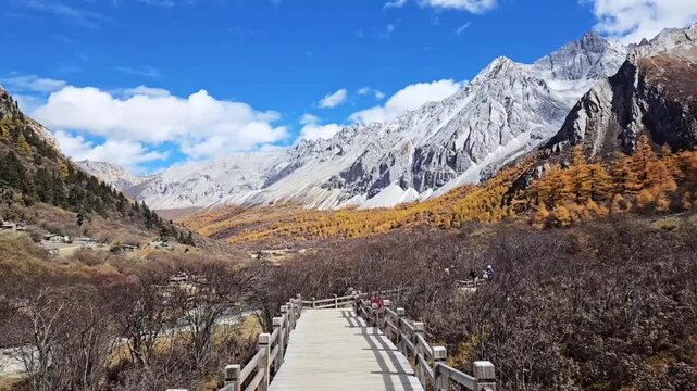 Wooden Boardwalk Leading Through Autumn Valley with Golden Larch Forest and Snow Capped Mountain Peaks in Yading