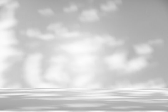 Wall interior background, studio and backdrops show products.with shadow from window color white and grey. background for text insertion and presentation product	