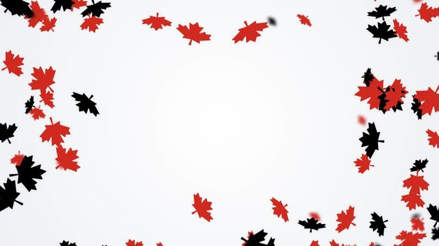 Red and black 3D maple leaves falling to create a seamless border frame on a white background. This motion graphic loop is perfect for Canada Day and autumn videos.