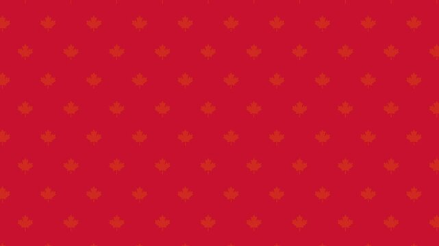 Seamless red maple leaf pattern background. This animated motion graphic loop is perfect for Canada Day celebrations, national holidays, and autumn season video designs.