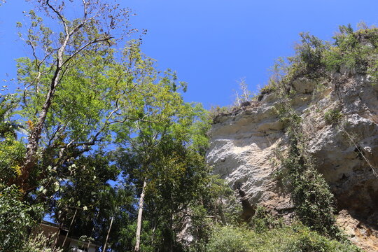 Limestone Cliff and Tropical Trees Under Blue Sky in Bohol Philippines