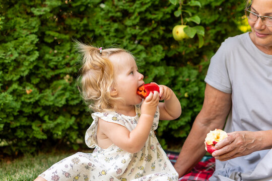 Young Granddaughter Tasting Red Bell Pepper Beside Grandmother