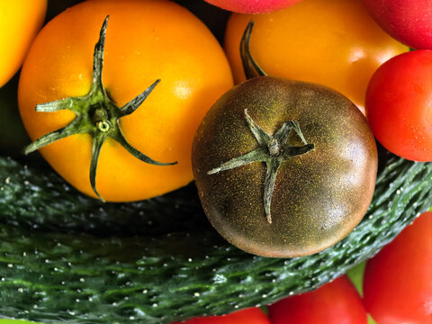 Colorful Organic Tomatoes and Cucumber Close Up