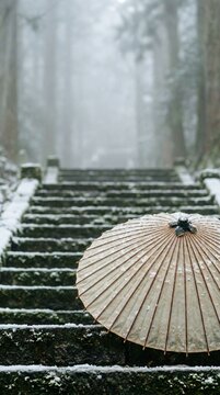 Vertical close-up of traditional Japanese oiled paper wagasa umbrella on snow dusted stone steps in forest