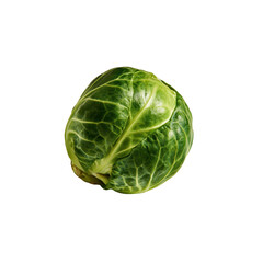 Obraz premium Single Brussels sprout placed on a white background with simple lighting