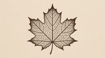 Fototapeta premium Intricate Skeleton Maple Leaf Illustration with Fine Detailed Veins on a Minimalist Vintage Textured Background for Autumn Design