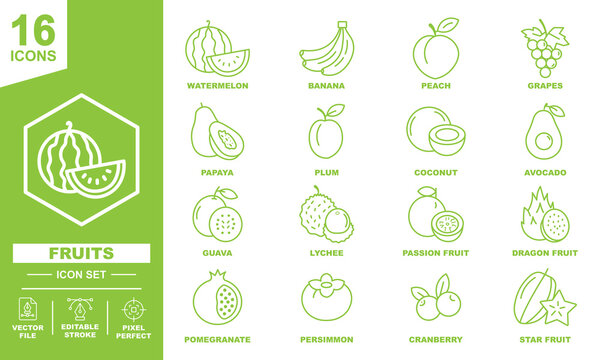 Fruits and Berries Flat Line Icons Set with Editable Strokes for Organic Food Store. tropical fruits and healthy food outline symbols collection, watermelon, banana, peach, grapes, avocado, lychee dra