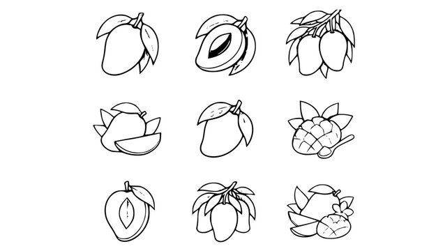Set of hand drawn mango fruit illustrations in black and white line art style for coloring book