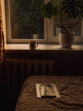 Cozy bedroom with book on bed, mug and houseplant by window in warm evening light.