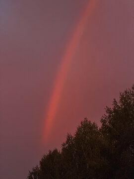 Bright red rainbow rising above dark tree silhouettes in dramatic pink storm sky at sunset.