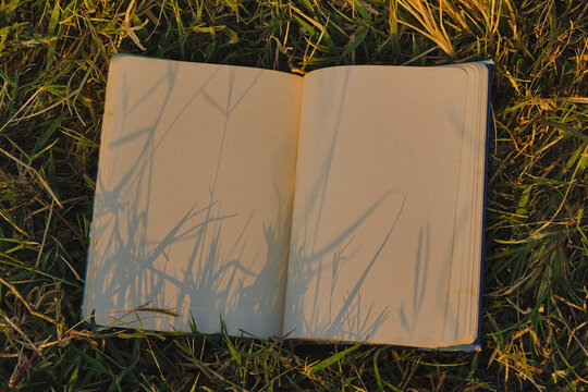 Blank open notebook with plant shadow overlay on grass, golden hour sunlight.