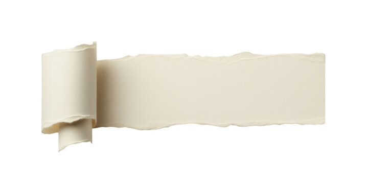 Isolated strip of ripped textured offwhite paper with a curled edge for message display transparent background