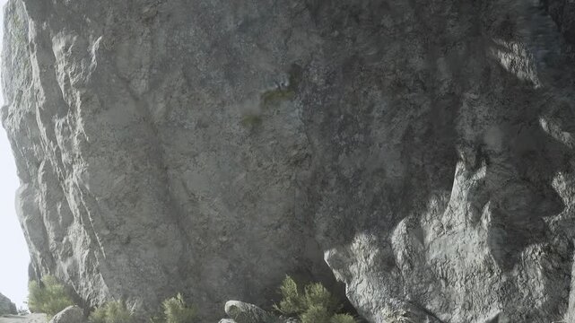 The scene shows a large rocky cliff under bright sunlight. Green plants grow near the base of the cliff. The area appears to be in a natural landscape, possibly a park or wilderness.