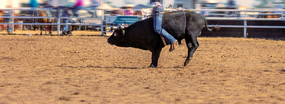 Cowboy Riding Bull At Rodeo