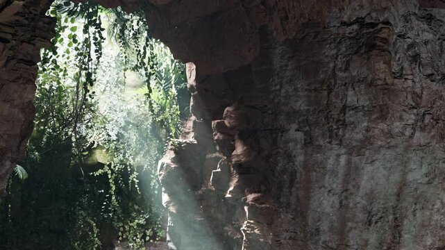 Light enters a cave from outside, illuminating the rocky walls. Green plants grow around the cave entrance, creating a bright and inviting view. Sunlight highlights the textures of the rocks.